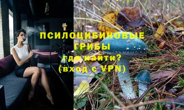 тгк Аркадак