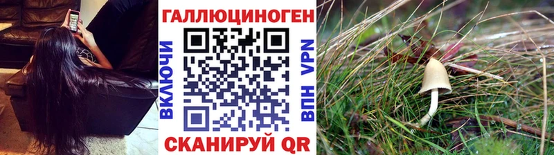Галлюциногенные грибы Cubensis  Слободской 